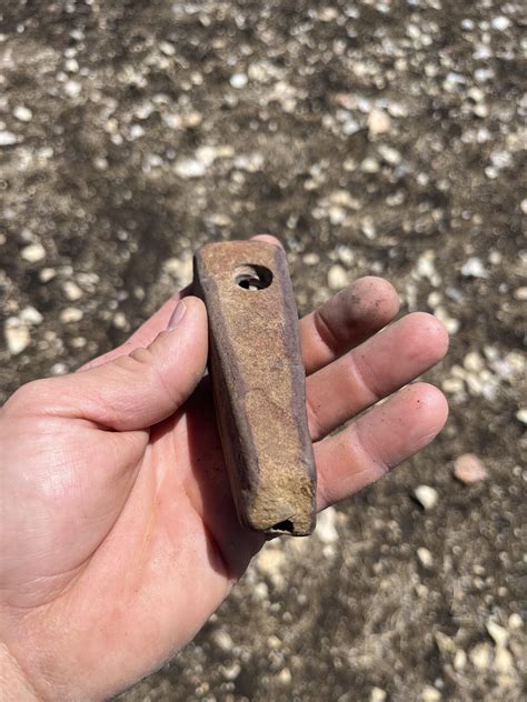 32 best Centex images on Pholder | Arrowheads, Texas and Whatsthisplant