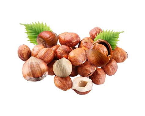 hazelnut png transparent background  png