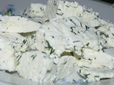 Мягкий сыр с укропом : Сыры