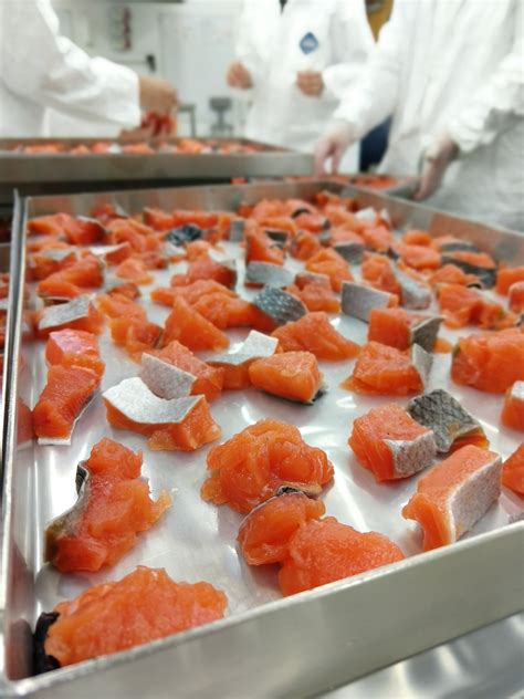 Processing wild-caught salmon for RM 8256