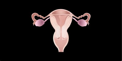 Endometrial Cancer Follow up - Surgery 101