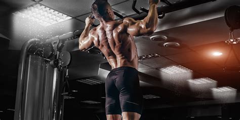 The Ultimate Muscle Building Split Reference Guide | Muscle & Strength