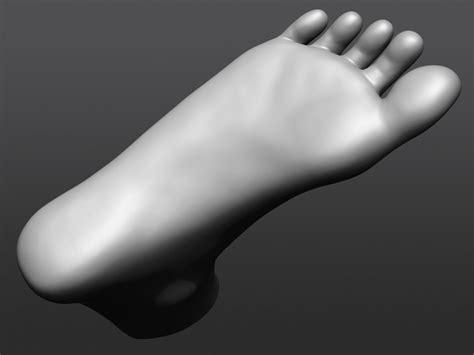 Human 3D foot model 3D model | CGTrader