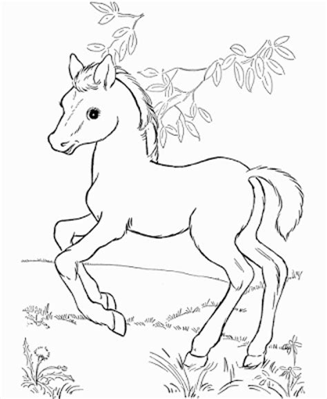 Spirit Stallion Of The Cimarron Coloring Pages at GetColorings.com ...