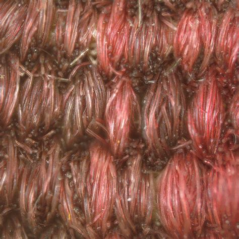 The Dyes Have It: Exploring Color and Tapestries - The Metropolitan