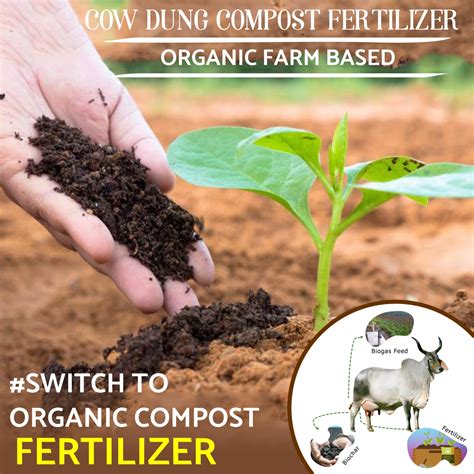 Cow Dung Compost Fertilizer – Mateshree