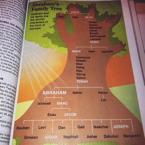 abrahams family tree   bible