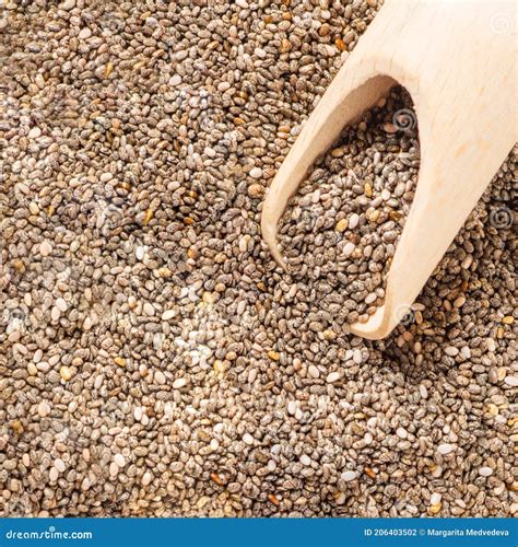 A Heap of Organic Chia Seeds Rich in Omega-3 Fatty Acids Stock Photo