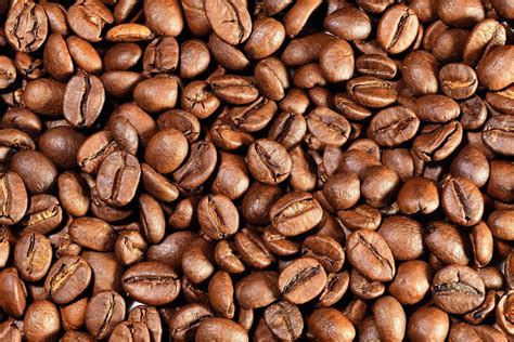 extreme macro photography  coffee beans  stock photo  vecteezy
