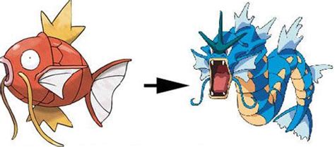 Magikarp gyarados Memes - Imgflip