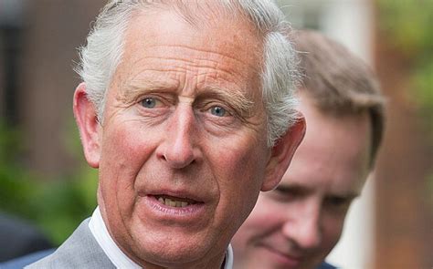 prince charles consorted  labour  climate change  grammar