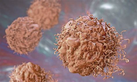 fgfr inhibitor  activity  fgfr alterations