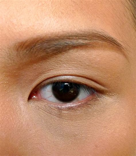 review init waterproof brow powder