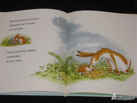 Книга: Знаешь, как я тебя люблю? - Сэм Макбратни. Купить книгу, читать ...