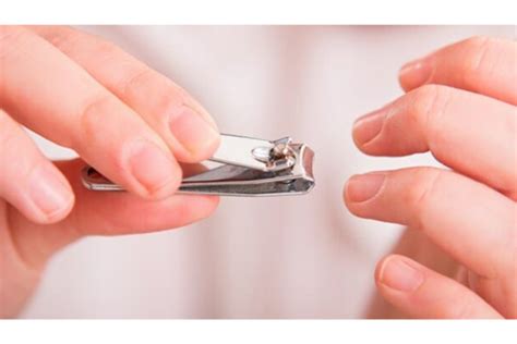 clean   nails quickly  easily nghia nippers usa