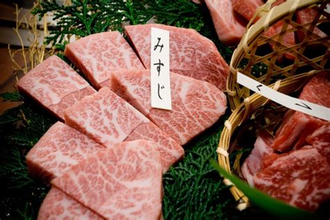 Matsusaka Beef | Guide to Matsusaka Beef for 2024 | Cozymeal