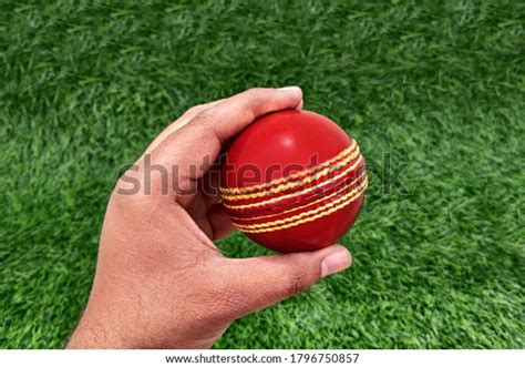 Ipl Catch: Over 3 Royalty-Free Licensable Stock Photos | Shutterstock