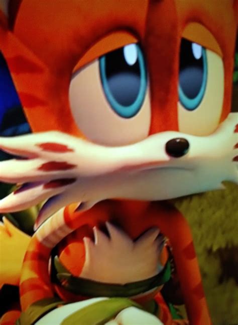 mangy  fox sonic prime sonic forest animals fan art