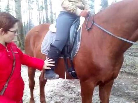 Шенкель, что это такое и как использовать / Дивные Кони - YouTube