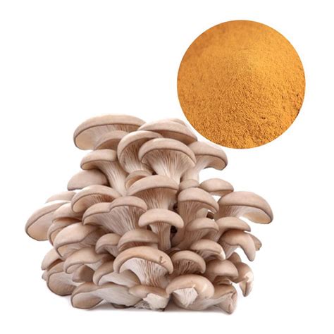 50g mushroom powder stand-up bag, enjoy your taste buds - Gozeniths