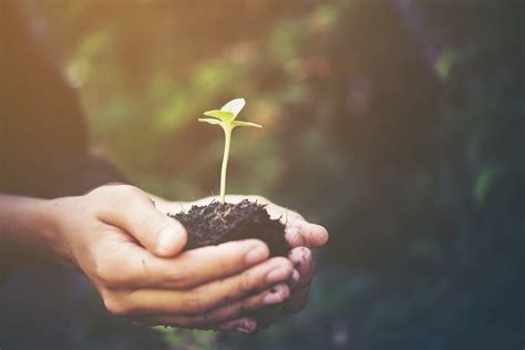 Organic vs Inorganic fertiliser - Atlantic Fertilisers