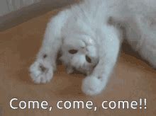 Come With Me GIFs | Tenor