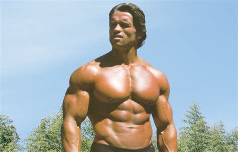 Arnold Schwarzenegger Back In Shape 2023