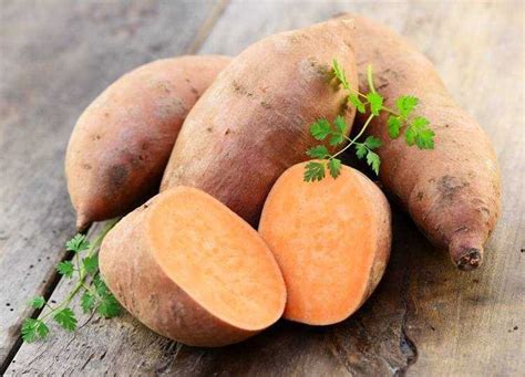 Benefícios Da Batata Yacon - Os Benefícios Da Batata Yacon | Bau Das DICAS