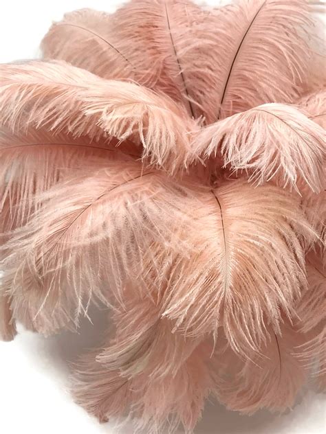 Ostrich Feathers 100 Pieces 6-8 Champagne Dyed | Etsy