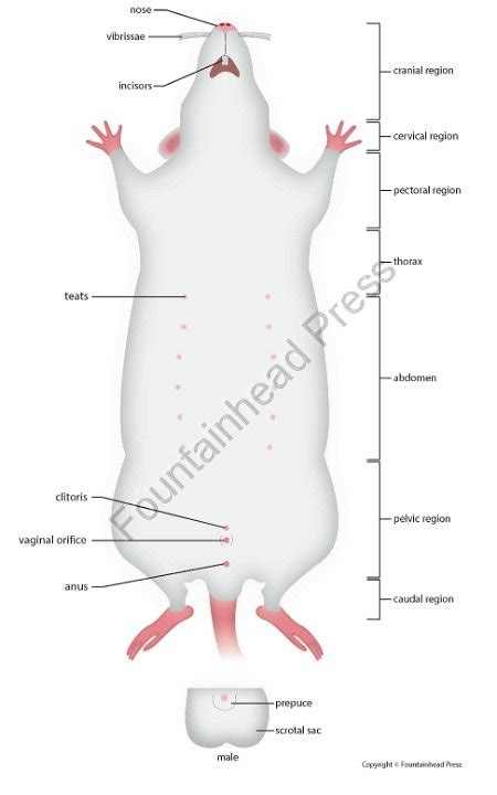 biology