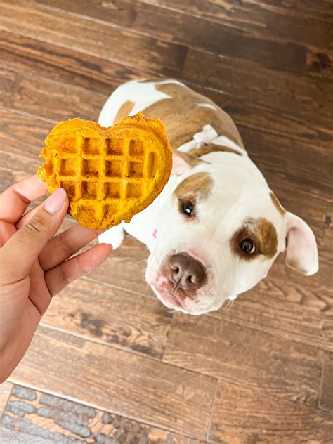 Homemade Dog Waffles (w/ pumpkin, oat, and carrots!) - Bites by Bianca