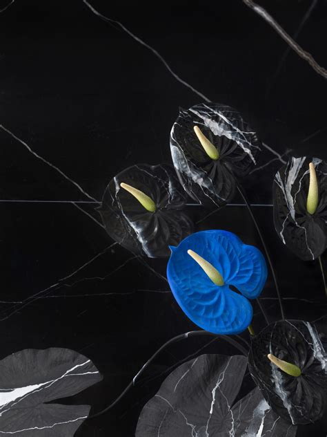 Rive Droite de Saint Laurent com a designer Sophie Parker