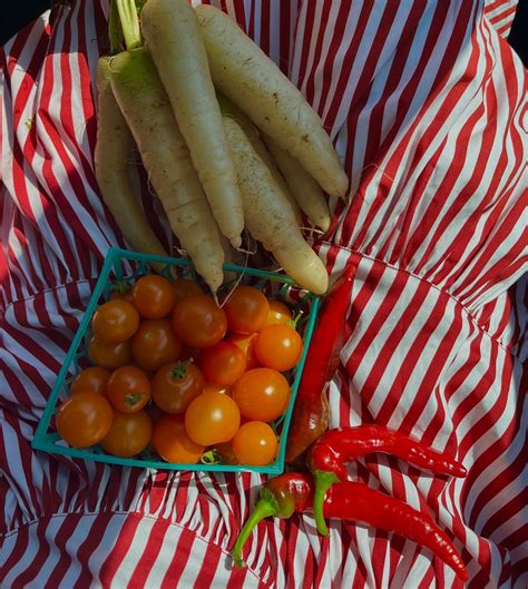 kami 🪽 (@jesustrekstxr) • Instagram photos and videos