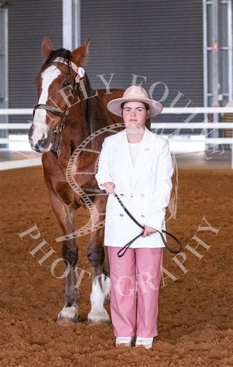 Manely Equine Photography