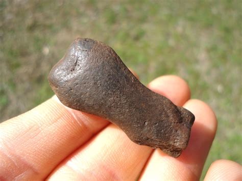 Choice Extinct Armadillo Metapodial | Xenarthra | FOSSILS | Prehistoric ...