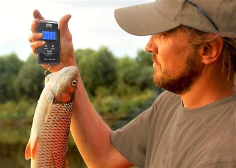 8 Best Fish Scales for Anglers - Reviews & Buying Guide