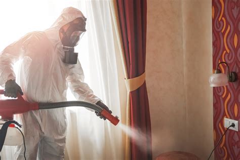 Pest and Termite Control | Fredericksburg Helping Hands Pest Control
