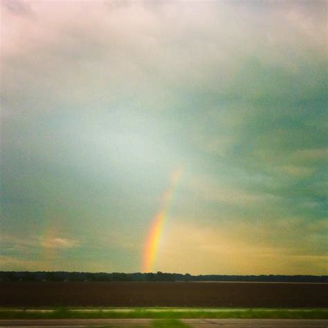 The Morning After – Arkansas Tornado