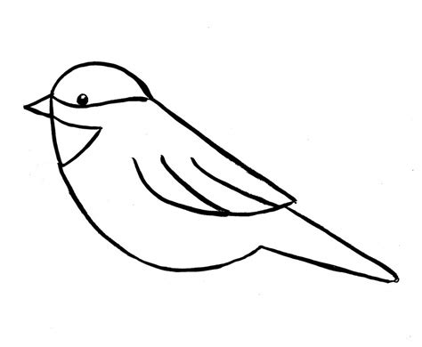 simple bird  drawing  paintingvalleycom explore collection