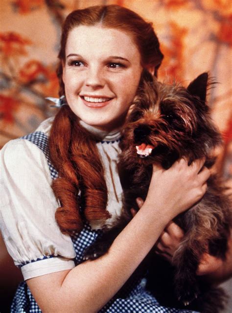 30 Movies With Near-Perfect Rotten Tomato Scores | Judy garland