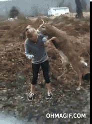 Dog Humping Girl GIFs - Find & Share on GIPHY