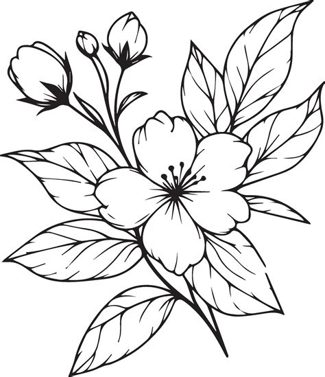 Minimalist outline jasmine flower tattoo, black and white jasmine