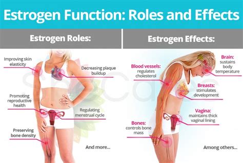 Estrogen-like effects - Benefits