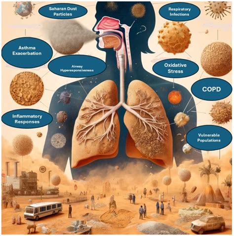 saharan dust  respiratory health understanding  link