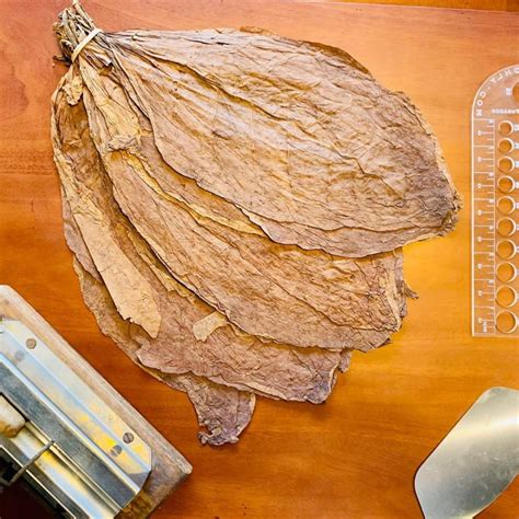 cigar workshop  seminyak bali reply