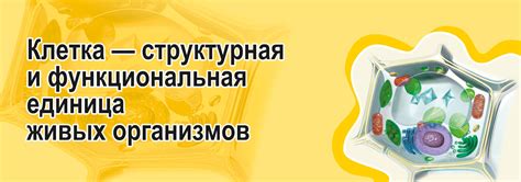 Курс: Биология. 11 класс