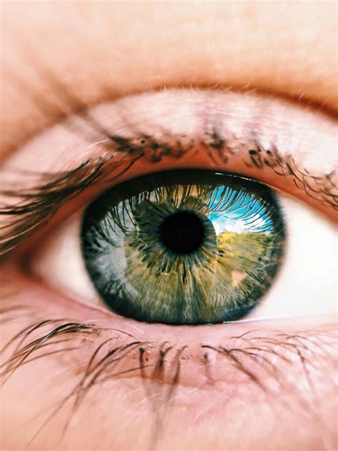Why Do I have Floaters or Flashes in My Vision? - Davis Vision Center