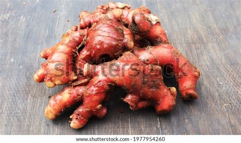 indonesia red ginger   images pictures shutterstock