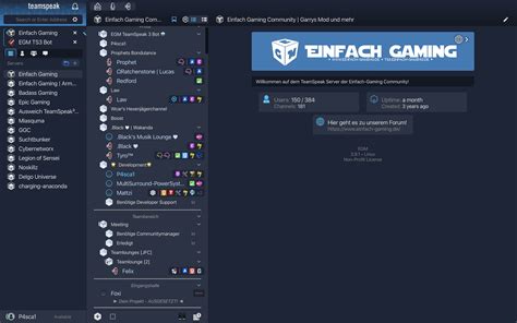 TeamSpeak 5 - BETA & Meinungen - Archiv - Einfach Gaming Community