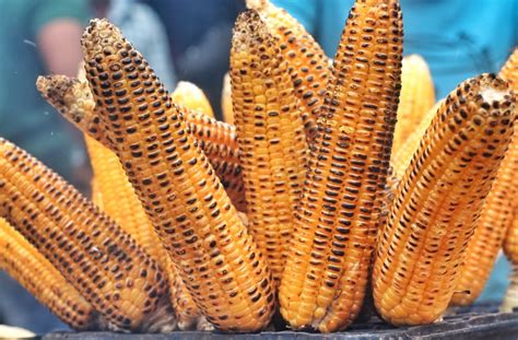 menu bakar bakar    nikmat blog ruparupa